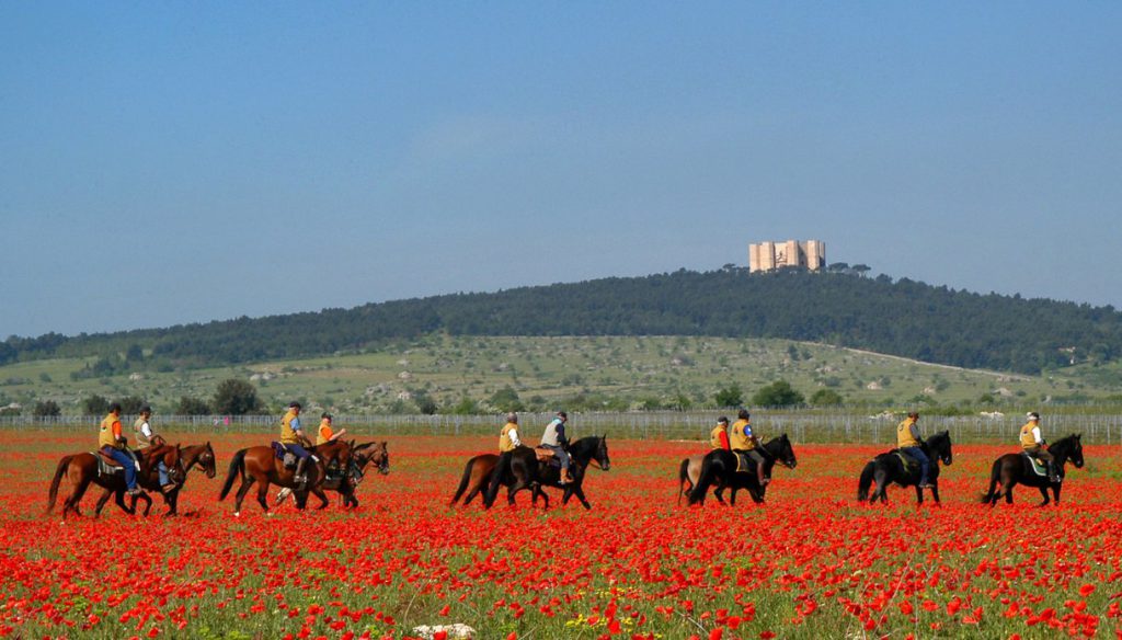 Turismo equestre