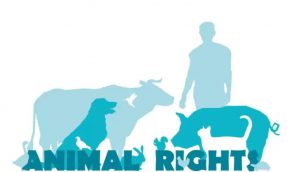 Logo Giornata internazionale dei diritti degli animali