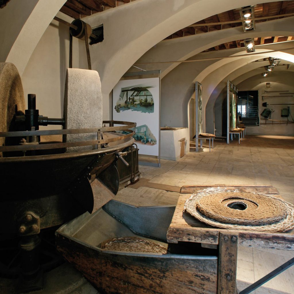 Museo-dellAntica-Grancia-e-dell Olio-di-Serre-di-Rapolano